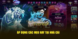 Cách Chơi Rồng Hổ 188bet: Hướng Dẫn Chi Tiết và Chiến Thuật