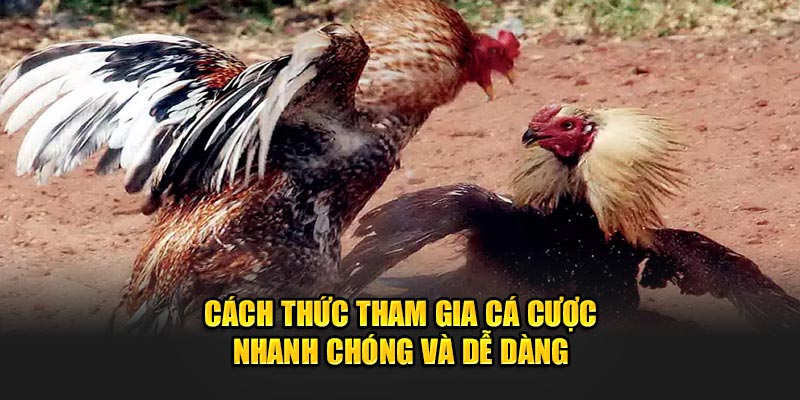 Cách thức tham gia cá cược nhanh chóng và dễ dàng