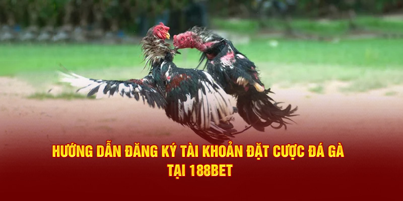 Hướng dẫn đăng ký tài khoản đặt cược đá gà tại 188Bet