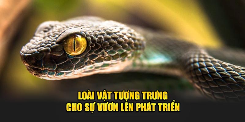 Loài vật tượng trưng cho sự vươn lên phát triển