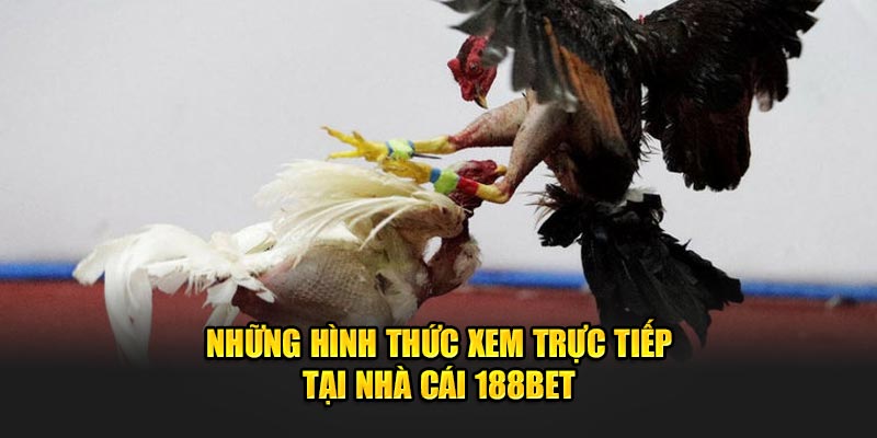 Những hình thức xem trực tiếp tại nhà cái 188Bet