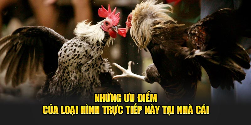 Những ưu điểm của loại hình trực tiếp này tại nhà cái