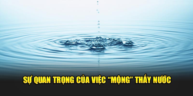 Sự quan trọng của việc nằm mơ thấy nước